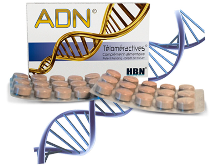 ADN Astragale